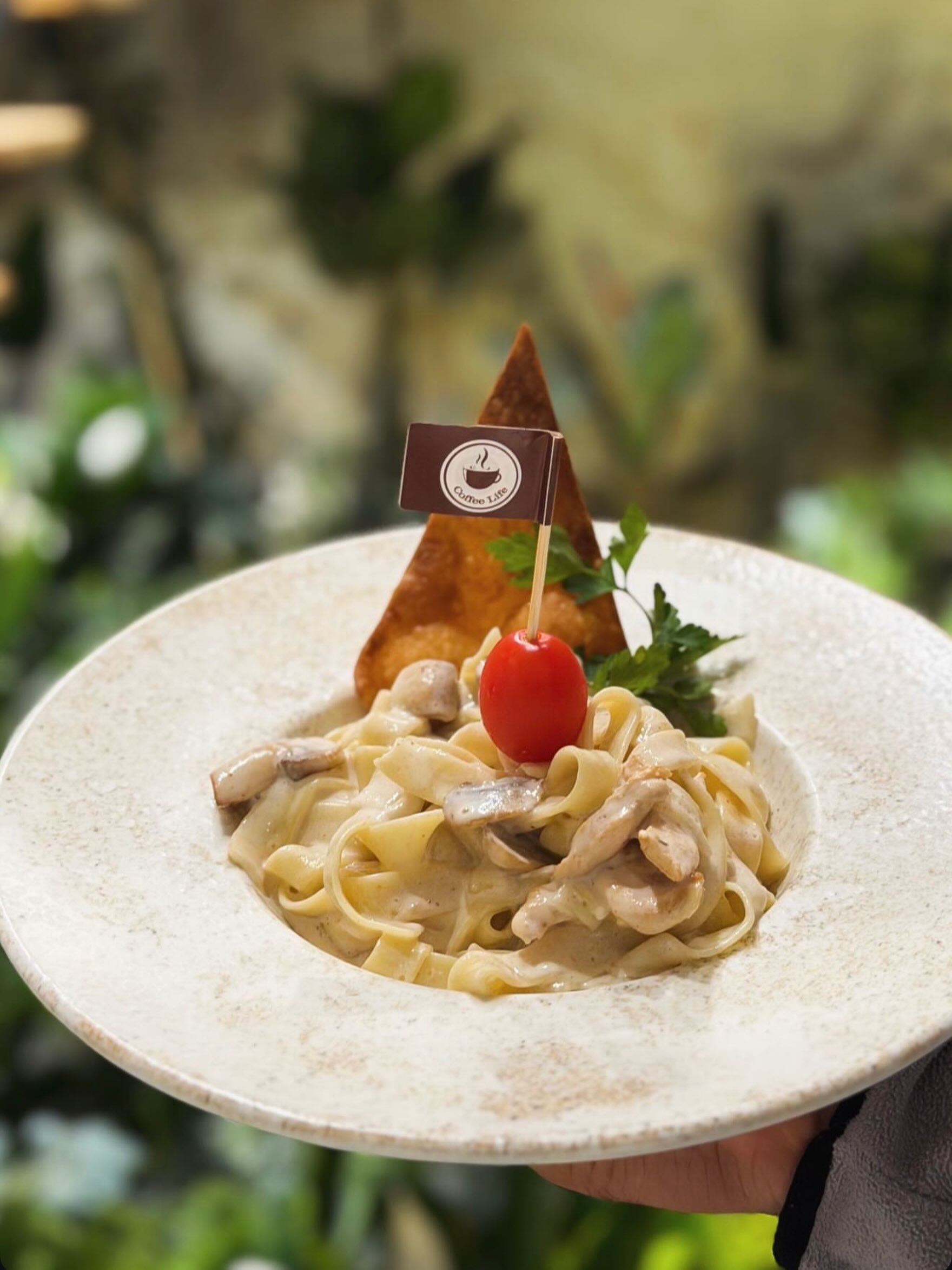 Fettucini Chicken